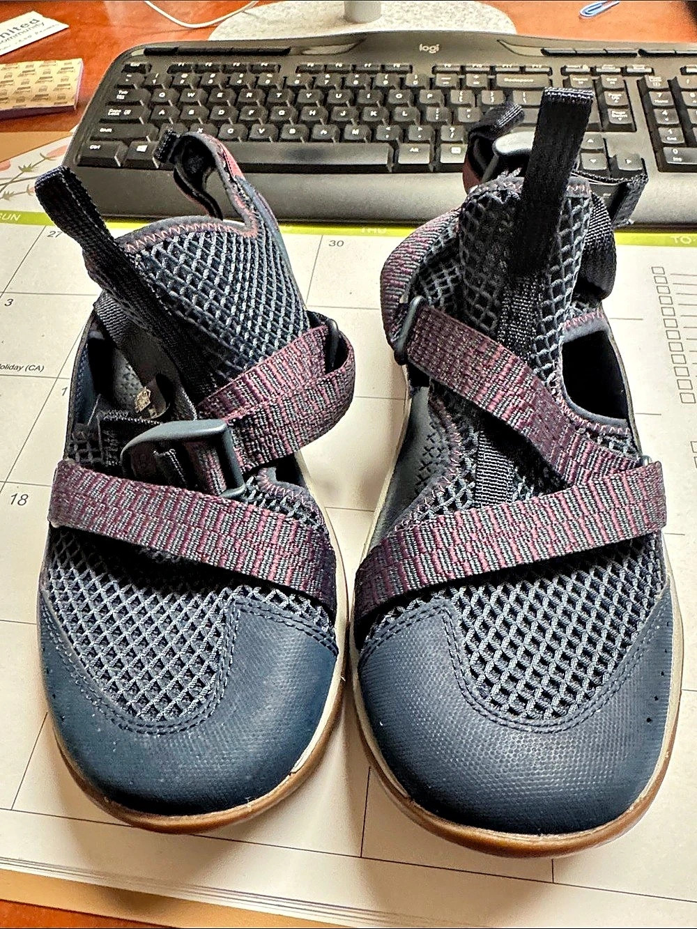 Chaco Outcross Evo 1 Water Shoe Sandals in Black & Purple